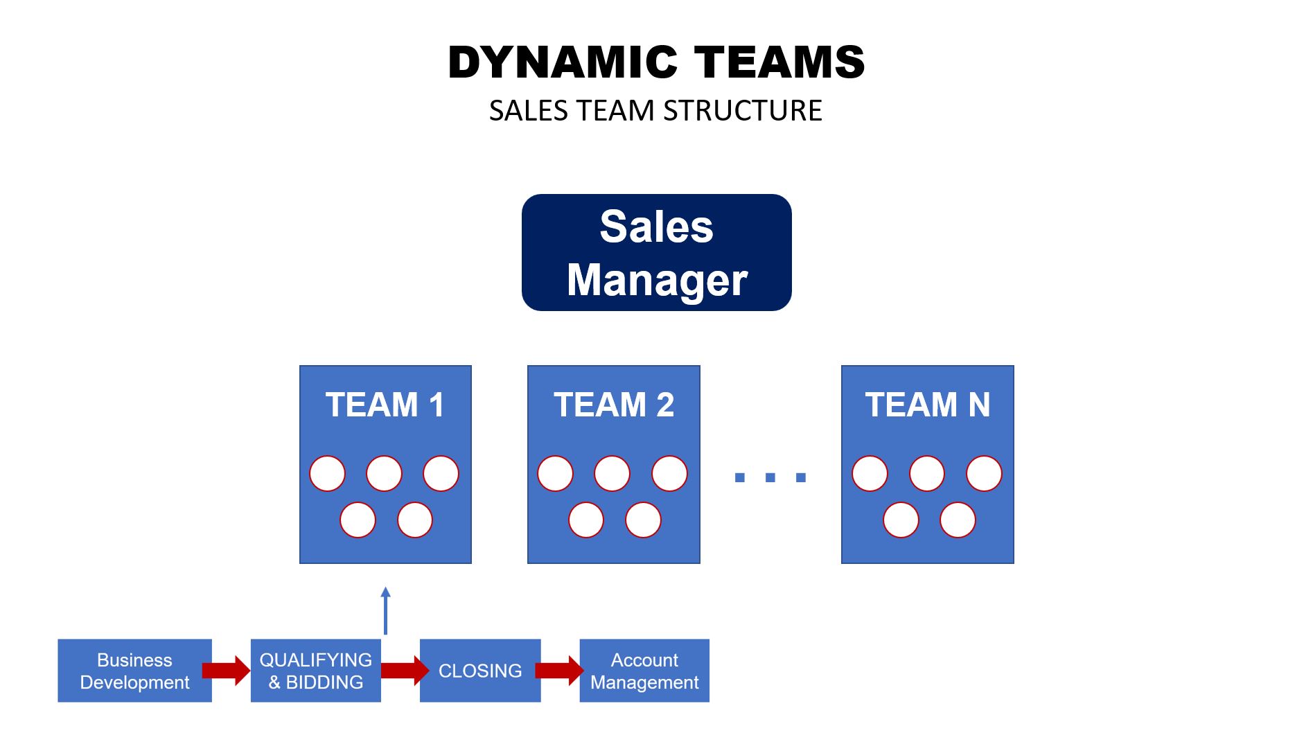 Dynamic Sales Organization Structure